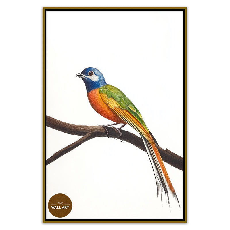 LONG TAIL BIRD ON BRANCH