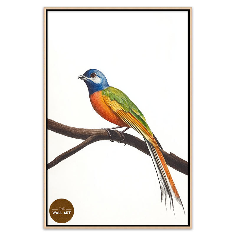 LONG TAIL BIRD ON BRANCH