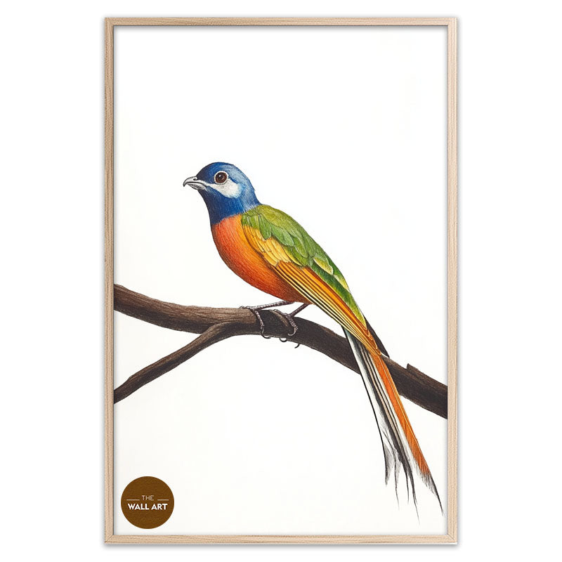 LONG TAIL BIRD ON BRANCH