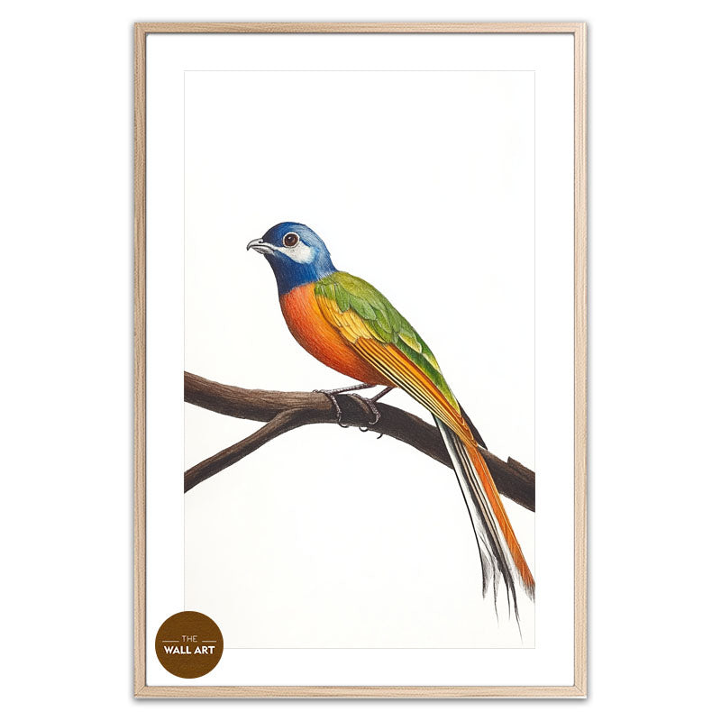 LONG TAIL BIRD ON BRANCH