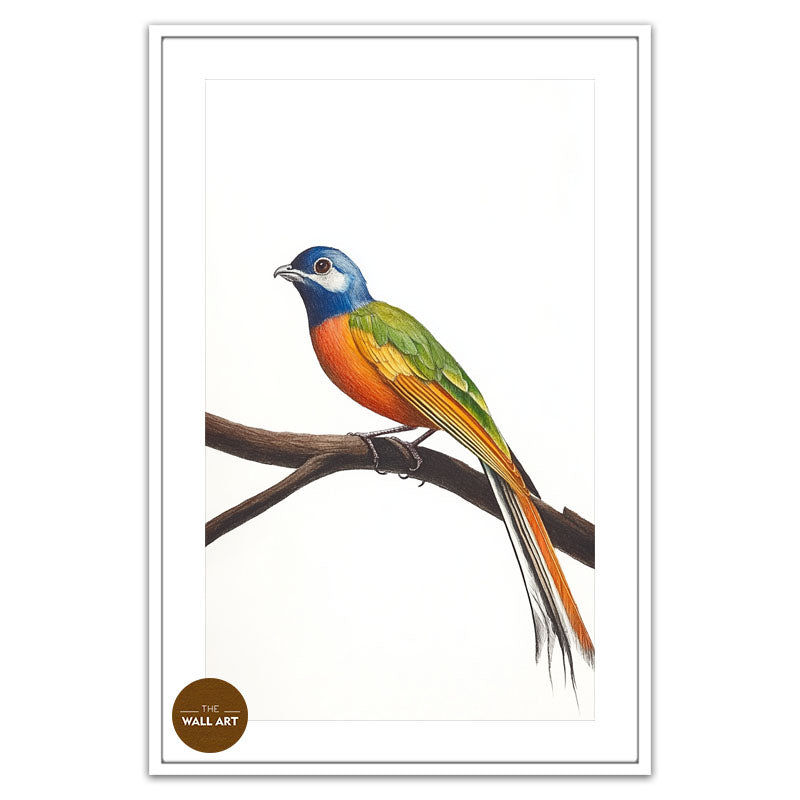 LONG TAIL BIRD ON BRANCH