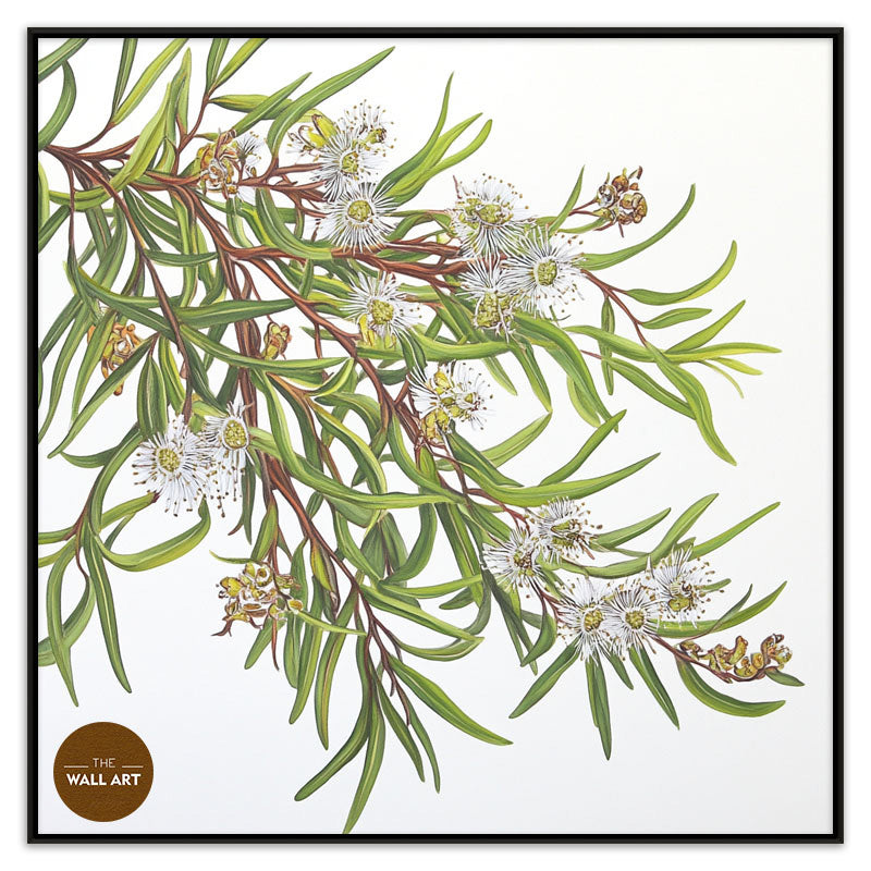 MELALEU FLOWERS