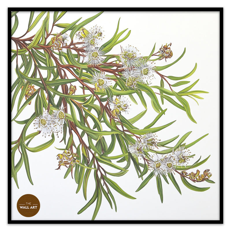 MELALEU FLOWERS