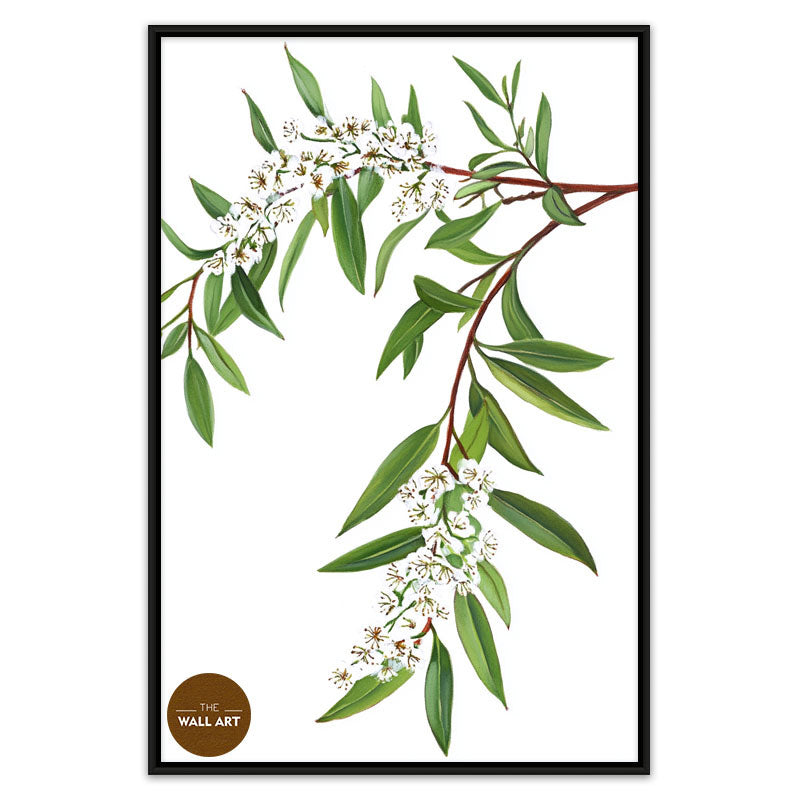 MELALEU FLOWERS BRANCH