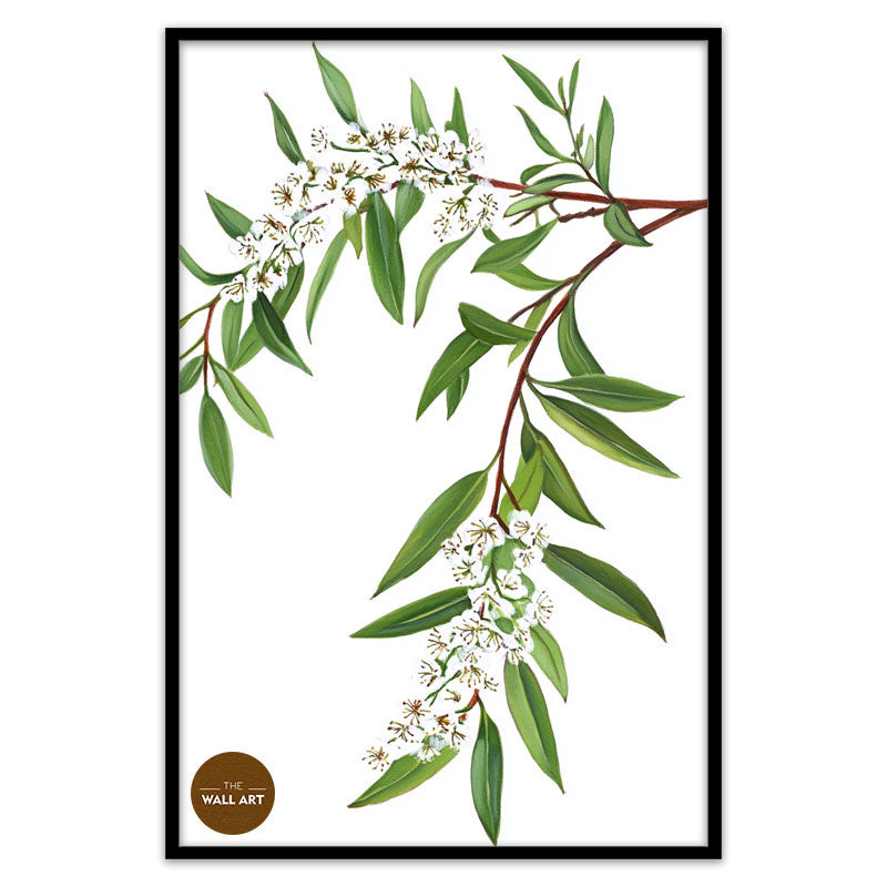 MELALEU FLOWERS BRANCH