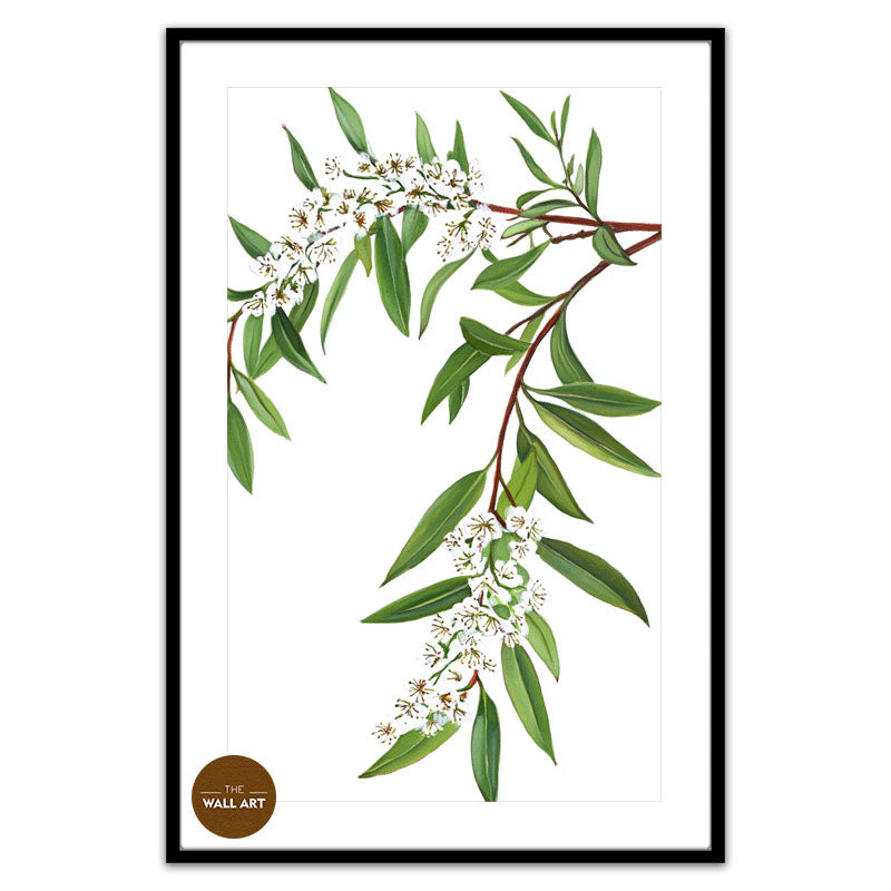 MELALEU FLOWERS BRANCH
