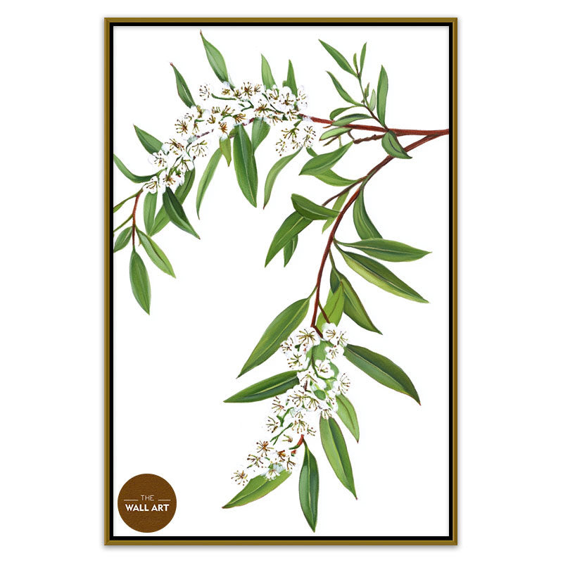 MELALEU FLOWERS BRANCH