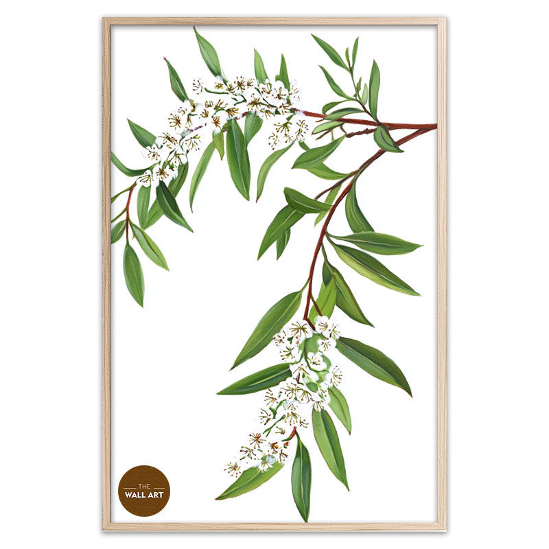 MELALEU FLOWERS BRANCH