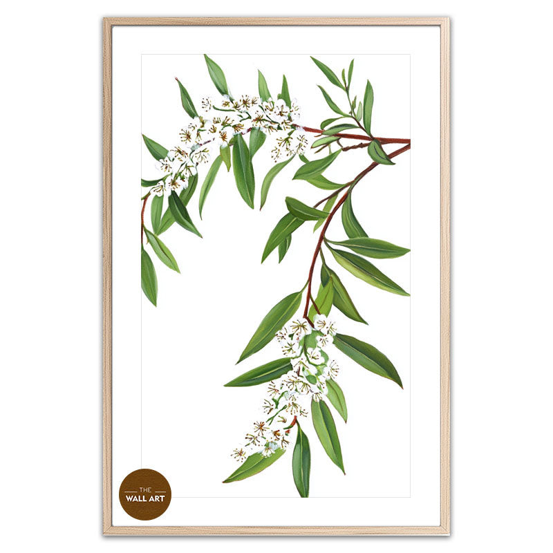 MELALEU FLOWERS BRANCH
