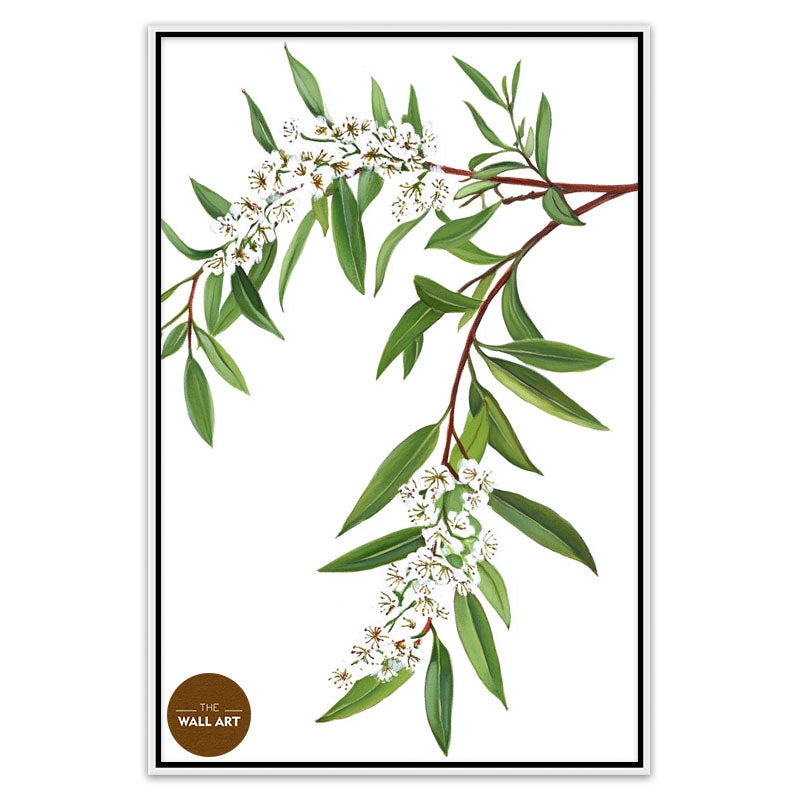 MELALEU FLOWERS BRANCH