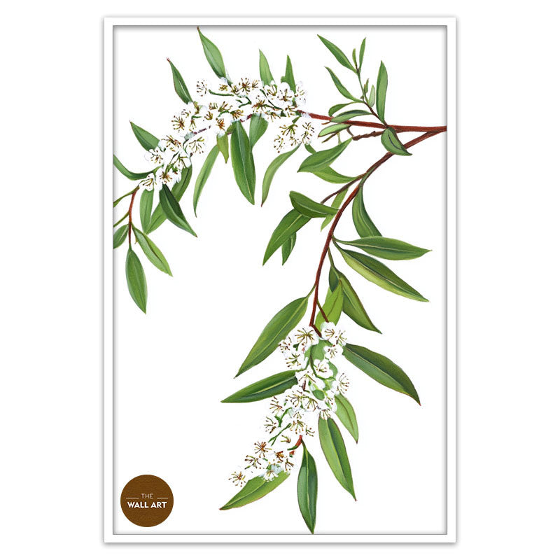MELALEU FLOWERS BRANCH