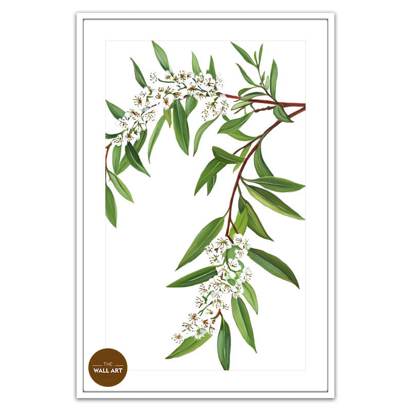 MELALEU FLOWERS BRANCH