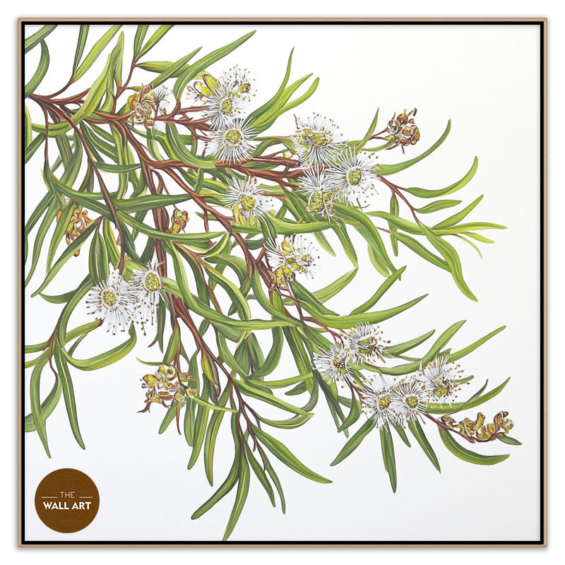 MELALEU FLOWERS