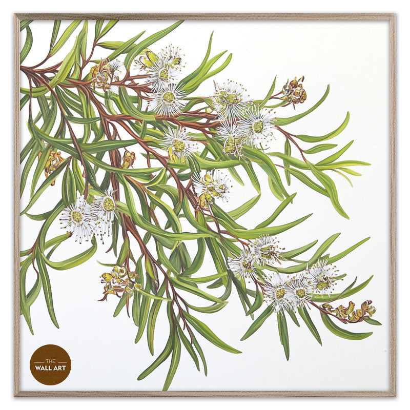 MELALEU FLOWERS