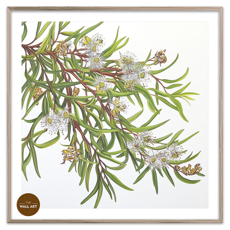 MELALEU FLOWERS