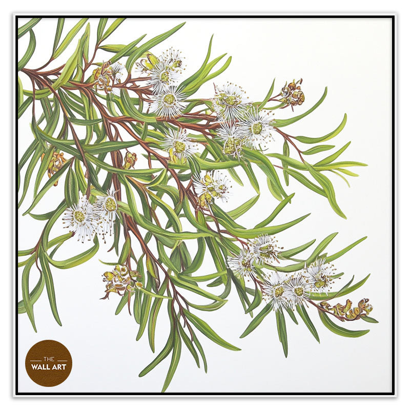 MELALEU FLOWERS