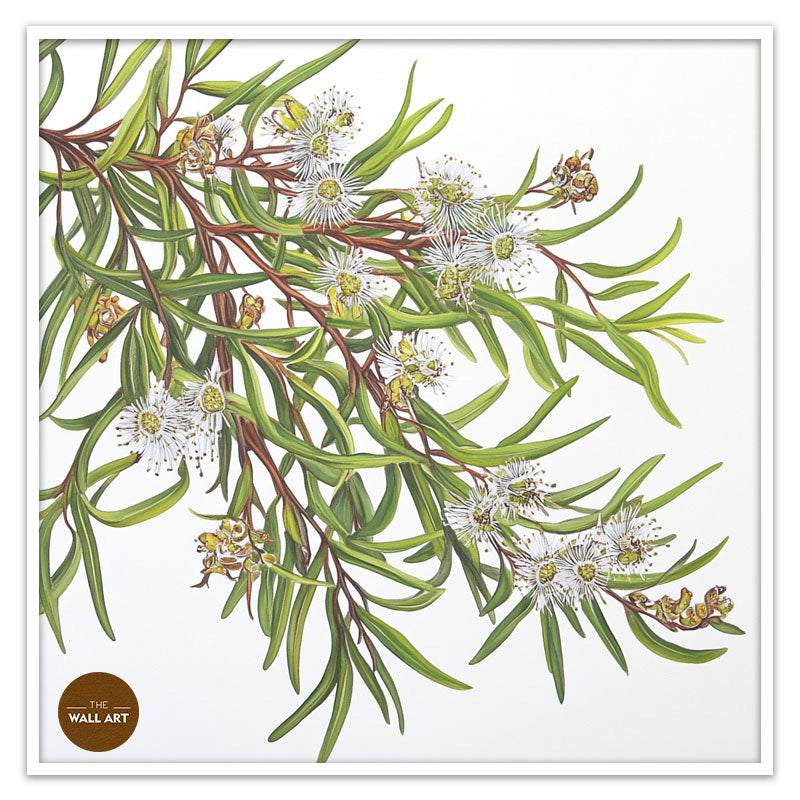 MELALEU FLOWERS