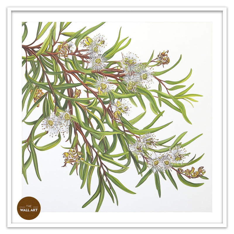 MELALEU FLOWERS