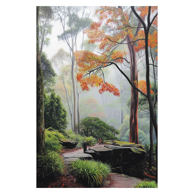 MISTY DANDENONG RANGES