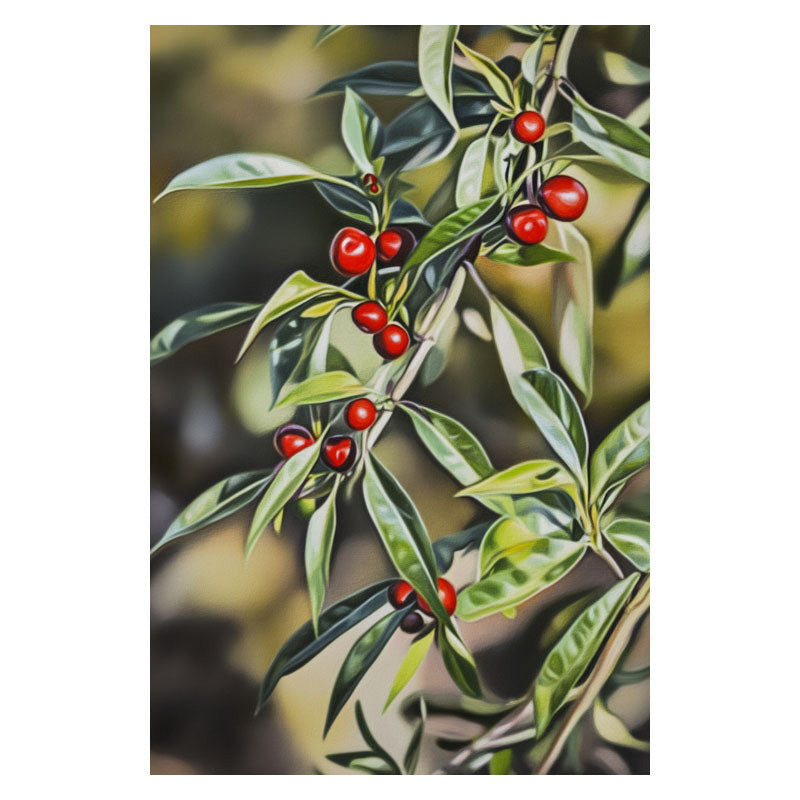 MOUNTAIN_ EPPER BRANCH