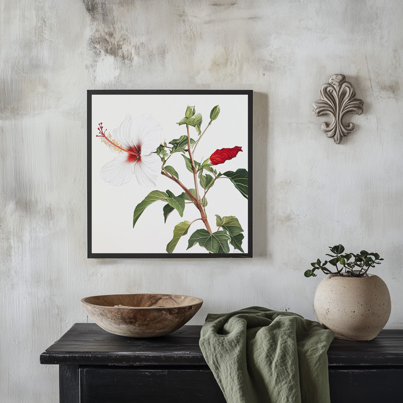 NATIVE HIBISCUS