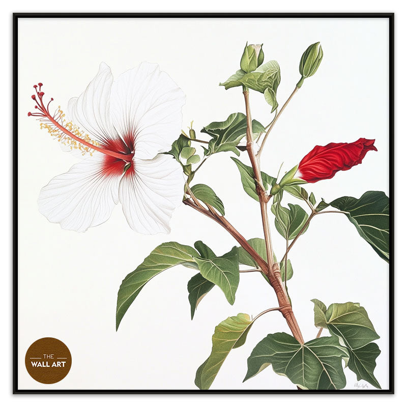 NATIVE HIBISCUS