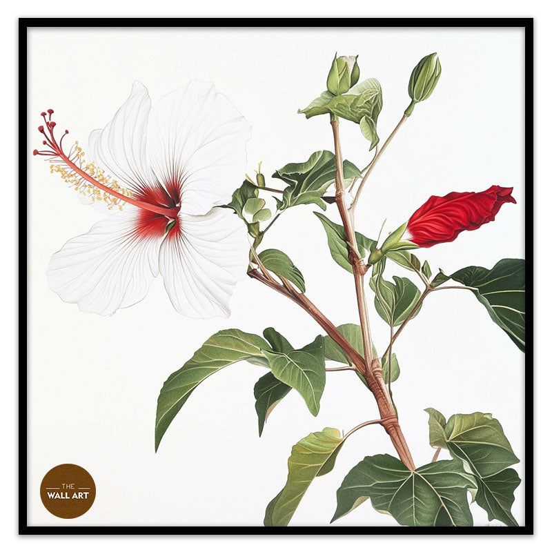 NATIVE HIBISCUS