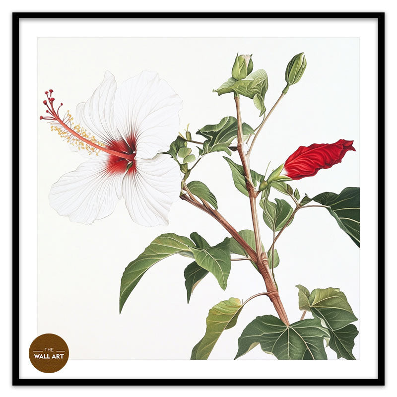 NATIVE HIBISCUS