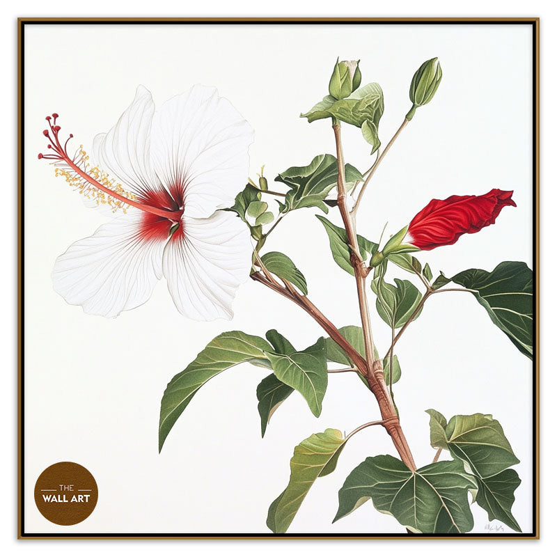 NATIVE HIBISCUS