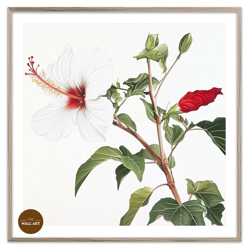 NATIVE HIBISCUS