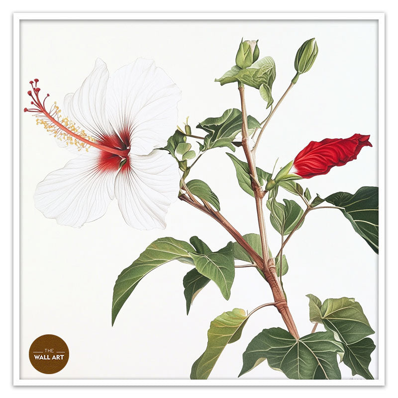 NATIVE HIBISCUS