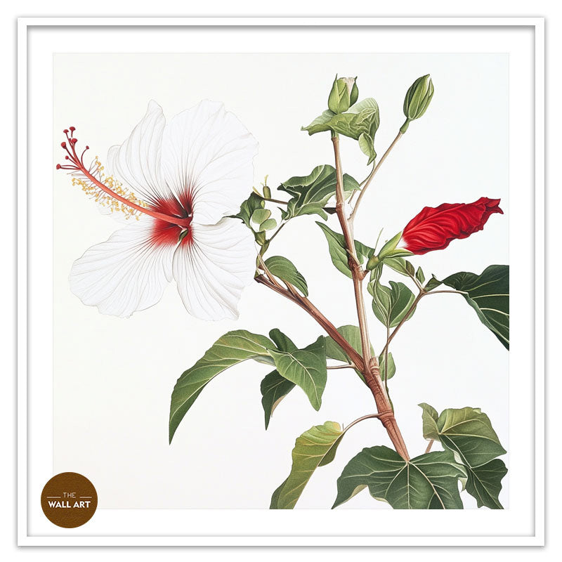 NATIVE HIBISCUS