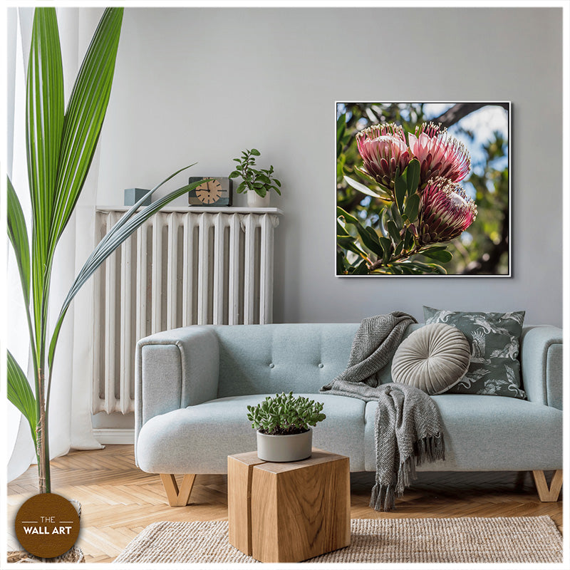 PINK PROTEAS