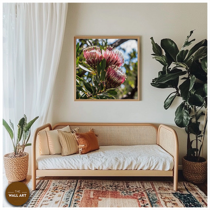 PINK PROTEAS