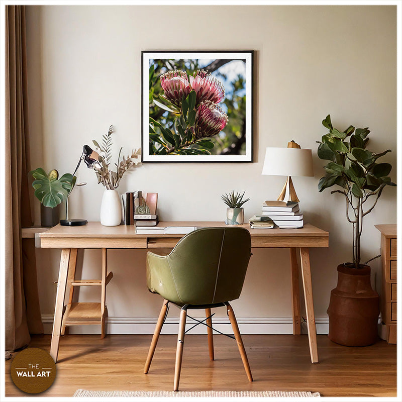 PINK PROTEAS