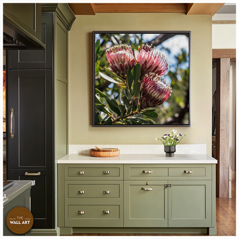 PINK PROTEAS