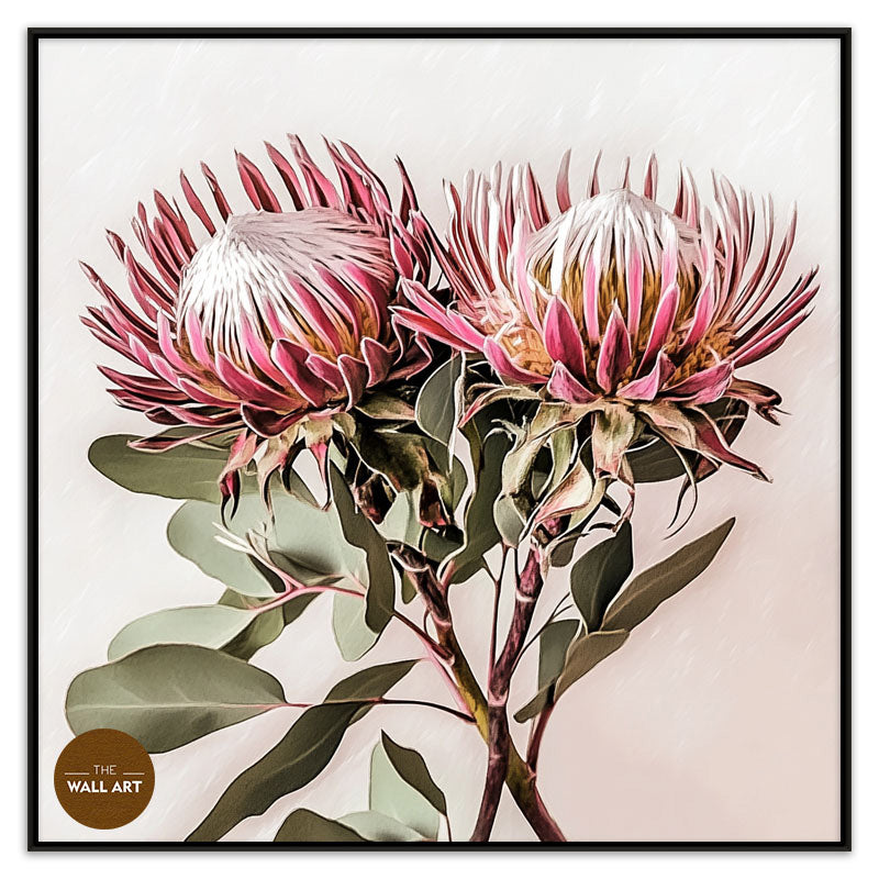 PINK KING PROOTEA_FLOWERS