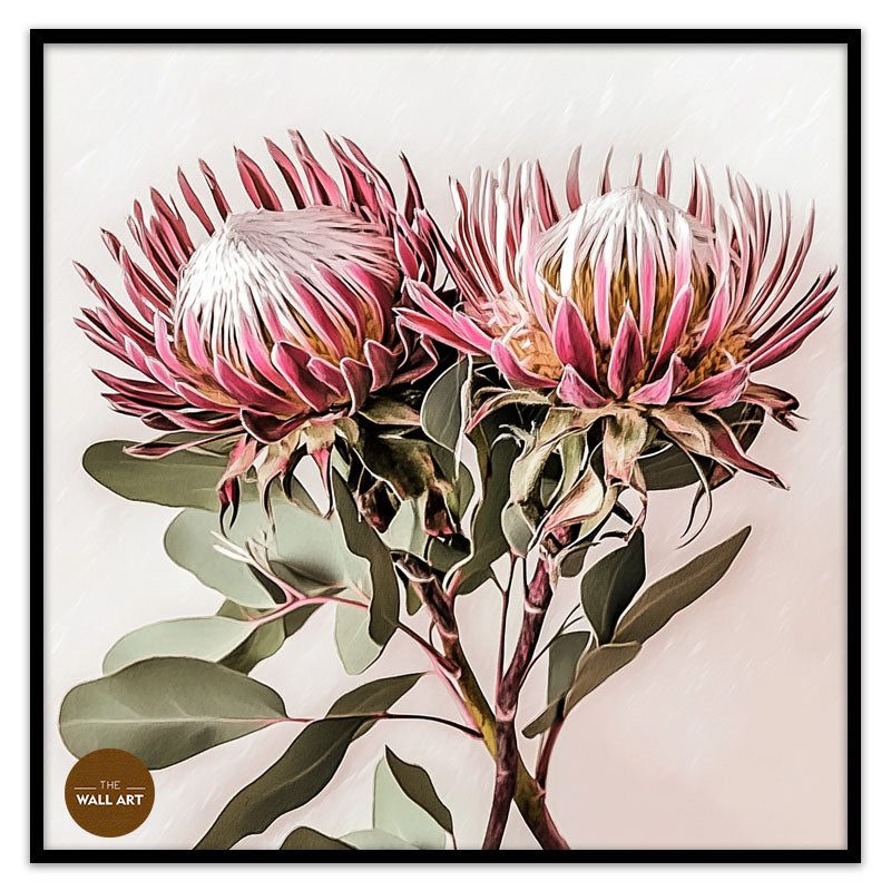 PINK KING PROOTEA_FLOWERS