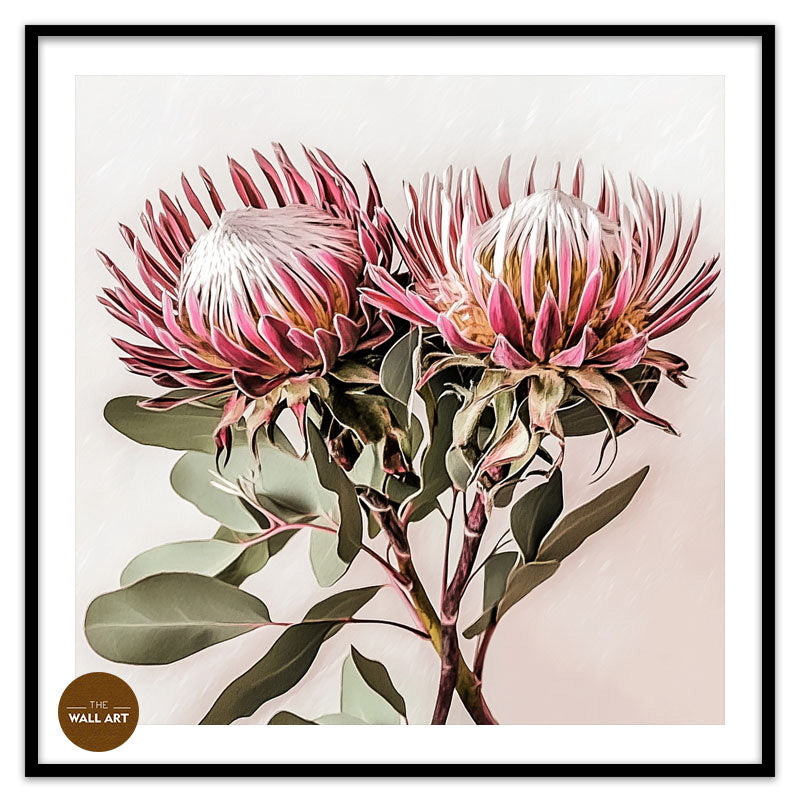 PINK KING PROOTEA_FLOWERS