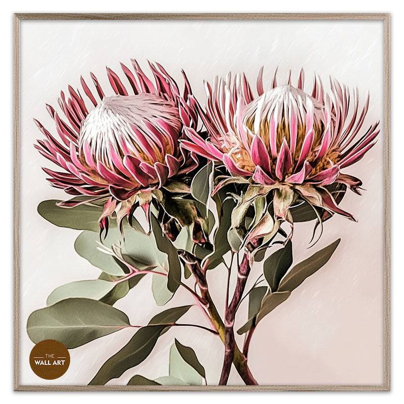 PINK KING PROOTEA_FLOWERS