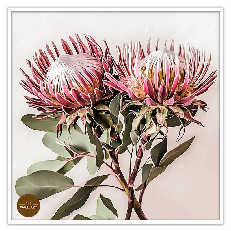 PINK KING PROOTEA_FLOWERS