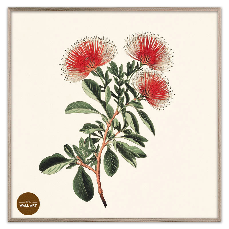 POHUTUKAWA FLOWERS II