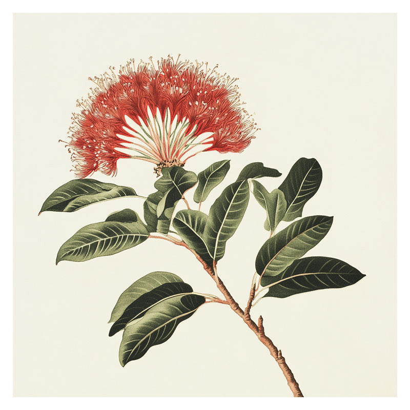 POHUTUKAWA FLOWERS I