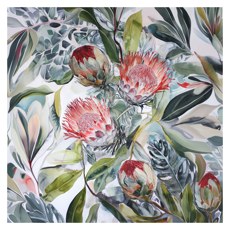 PROTEA BLOOMS