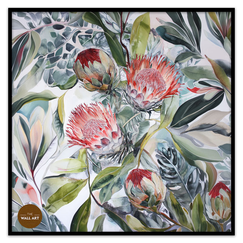 PROTEA BLOOMS