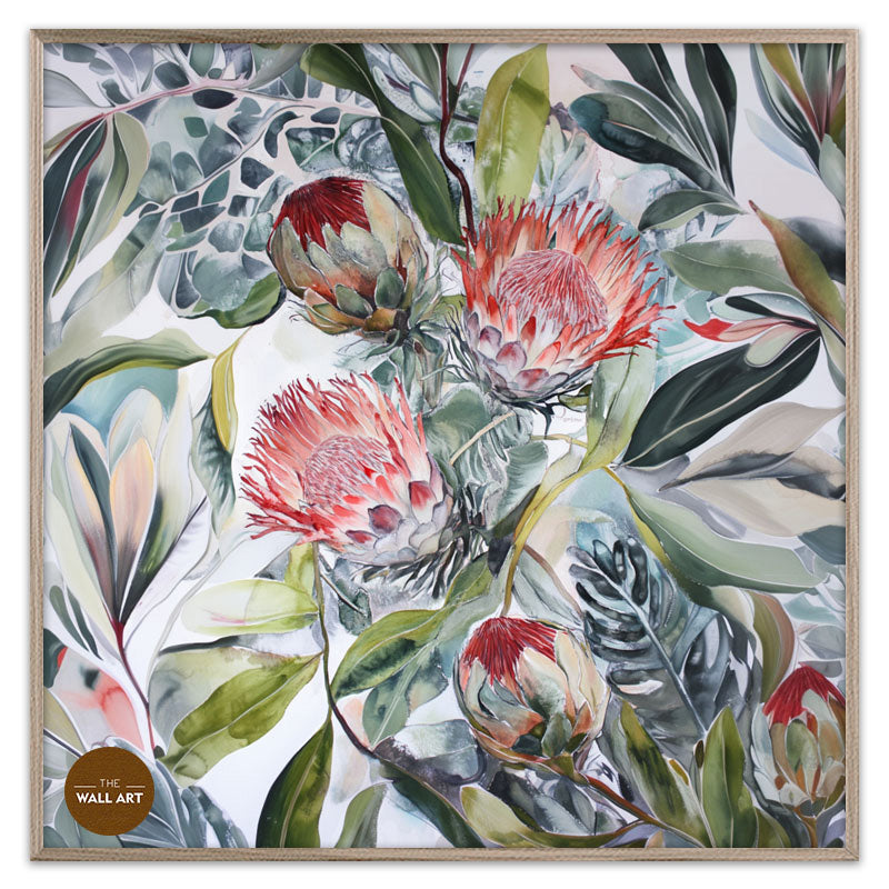 PROTEA BLOOMS