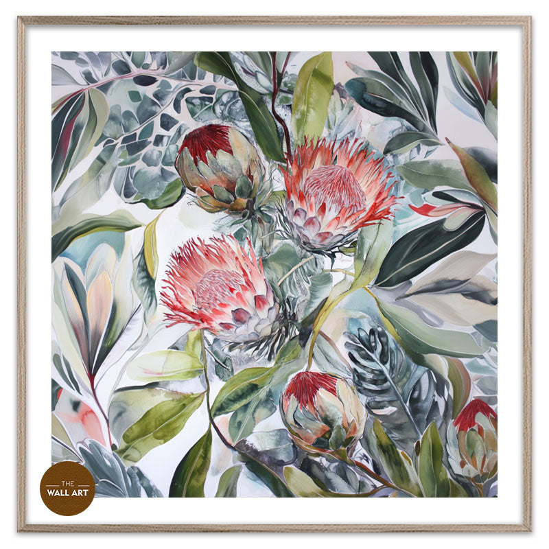 PROTEA BLOOMS