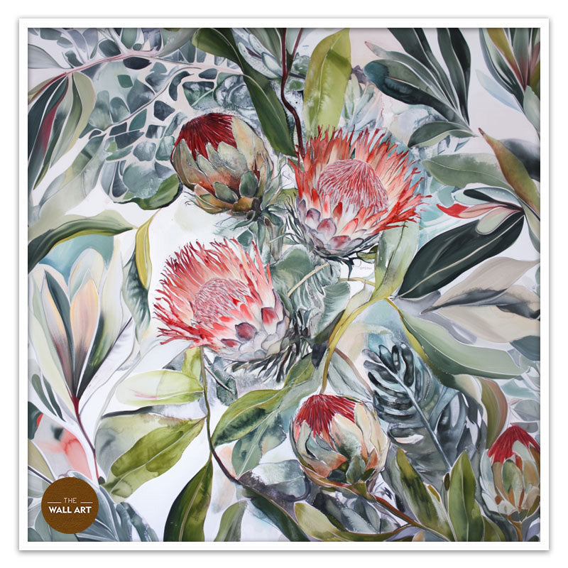 PROTEA BLOOMS