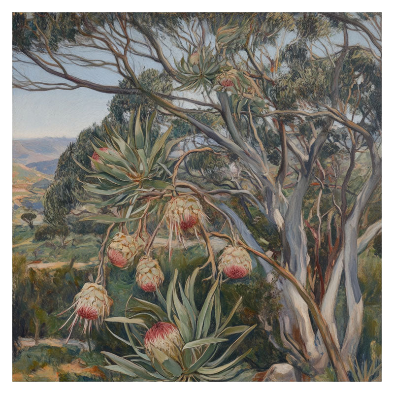 PROTEA TREE