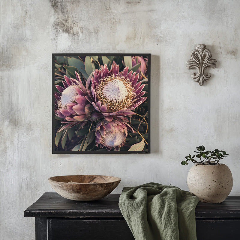 PURPLE KING PROTEA
